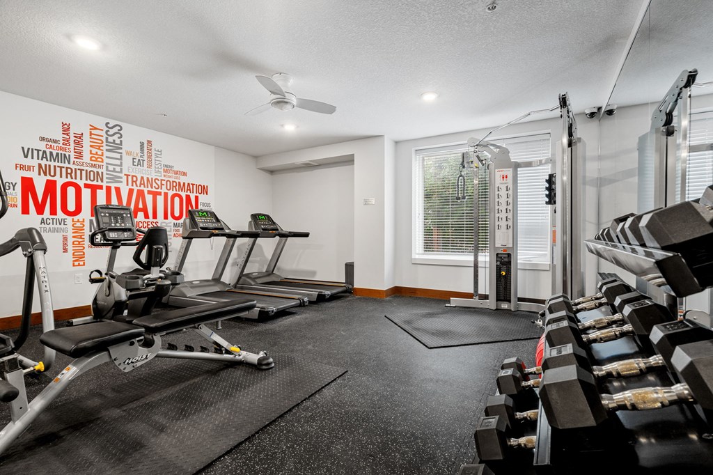 the gym at 1861 muleshoe road has weights and cardio machines and a window