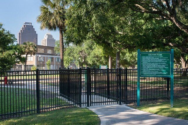 our local dog park