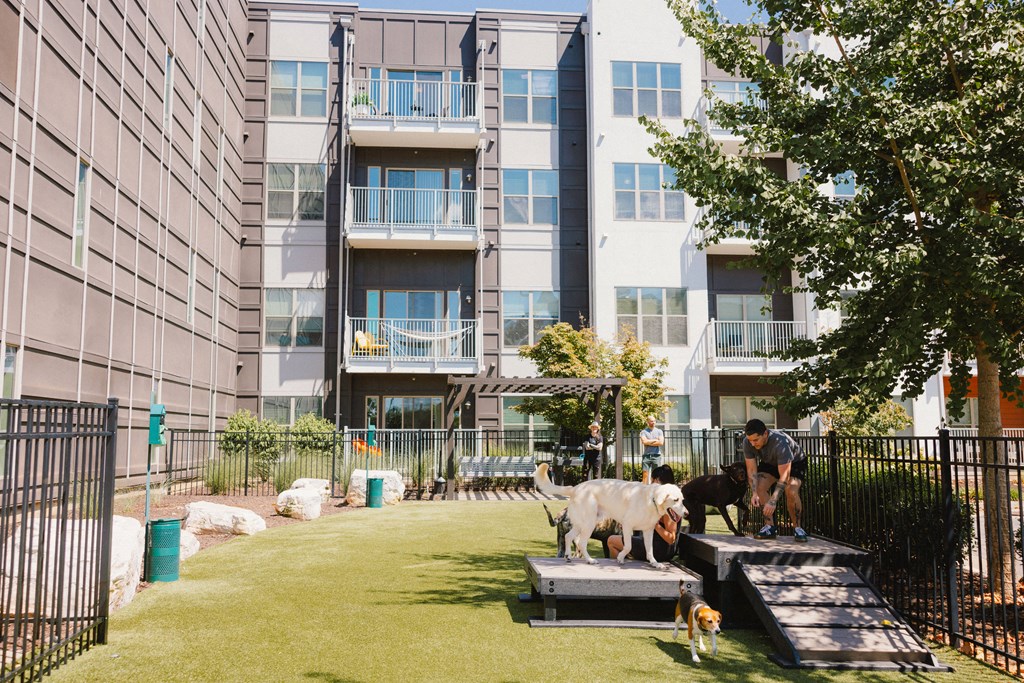 a dog park in front of an apartment building