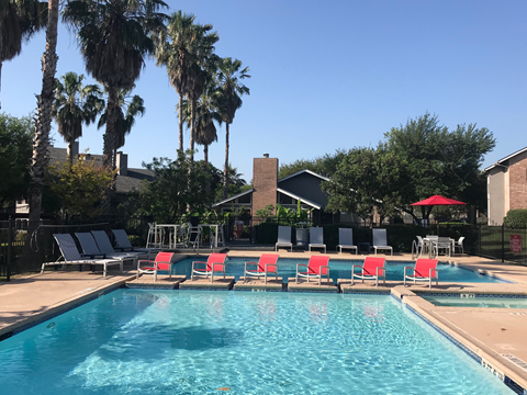 A pool surrounded by palm trees and lounge chairs.