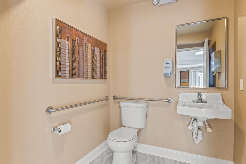 a bathroom with a toilet and a sink and a mirror