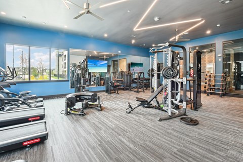 A spacious gym with a variety of equipment including treadmills, weights, and a bench press.