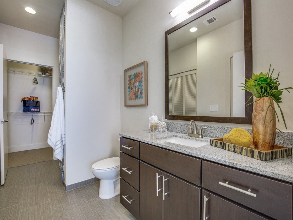 a bathroom with a sink and a toilet and a mirror