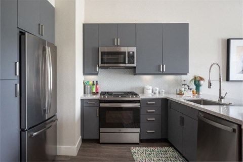a kitchen with stainless steel appliances and black cabinets