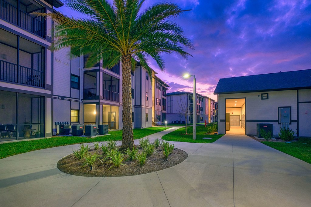 a palm tree in the center of a sidewalk in front of some apartments