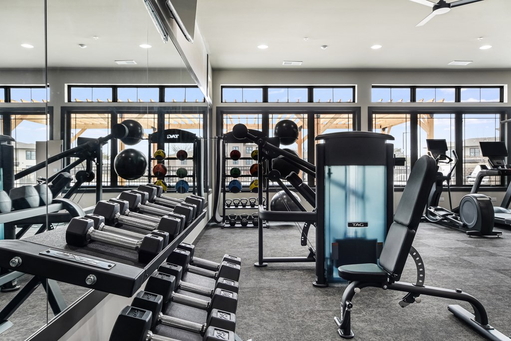 A gym with a row of dumbbells and a bench press.