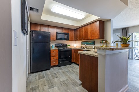 A kitchen with a black refrigerator and wooden cabinets.