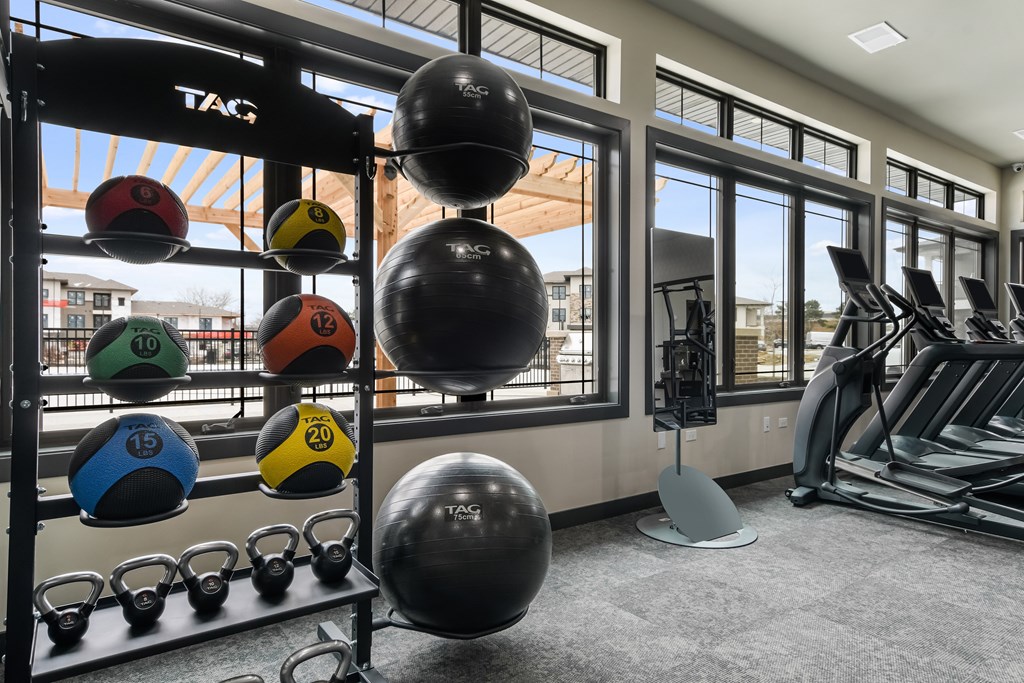 A gym with a variety of weights and exercise equipment.