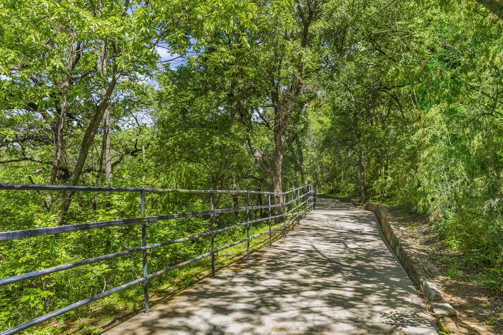 a path through a forest with a fence and trees