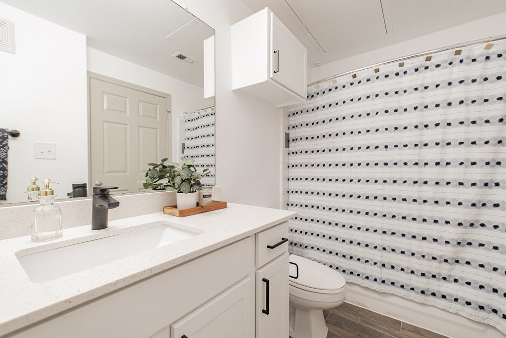 a bathroom with a sink and a toilet and a shower