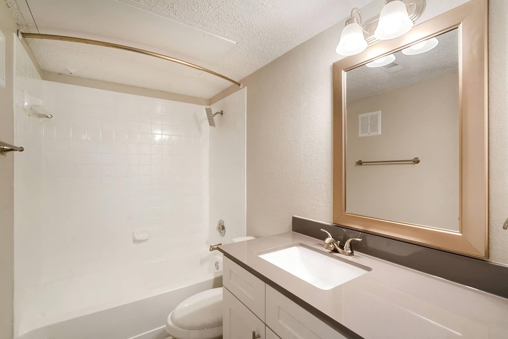 a bathroom with a sink and a toilet