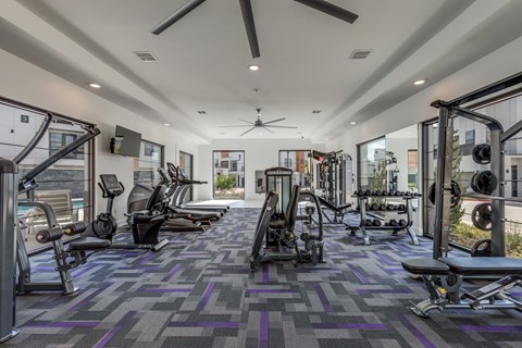 A gym with a variety of equipment including treadmills, weights, and a bench press.
