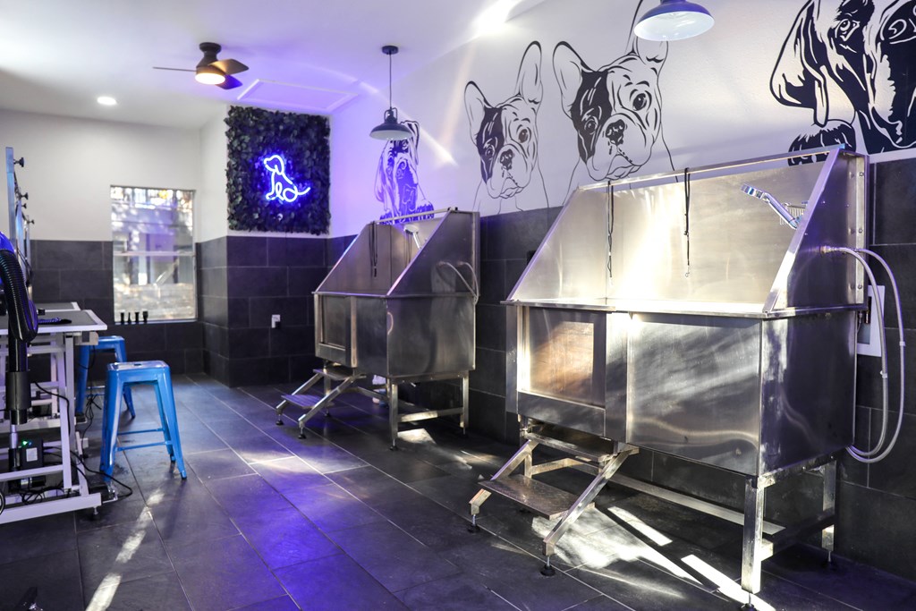 dog wash station with neon pet sign and wall decor