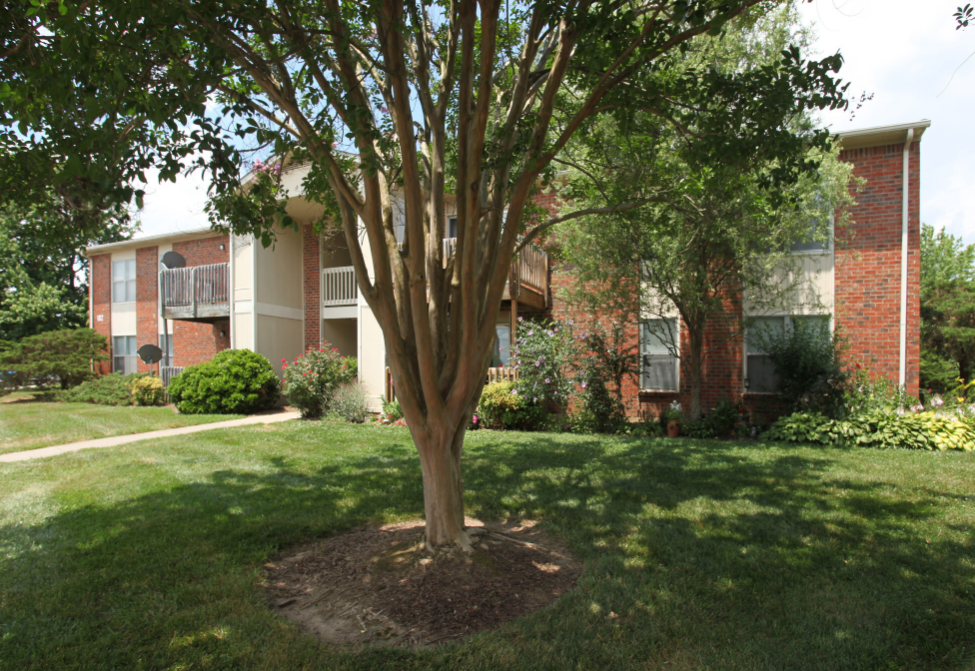 a tree in front of an apartment building