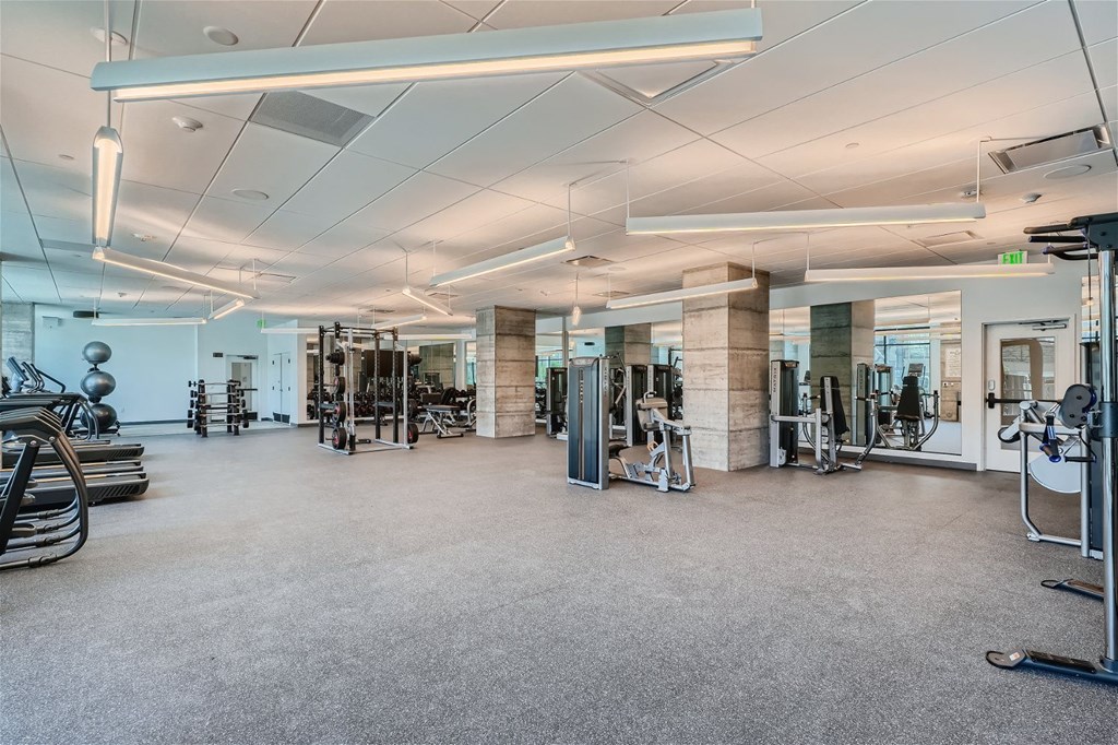 the gym is equipped with weights and other exercise equipment