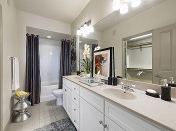 6500 Champion Grandview Way 1-3 Beds Apartment for Rent - Photo Gallery 5