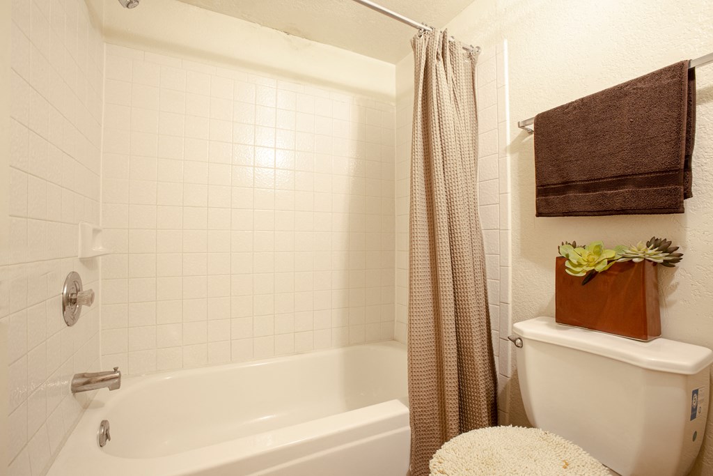 a bathroom with a toilet and a bath tub