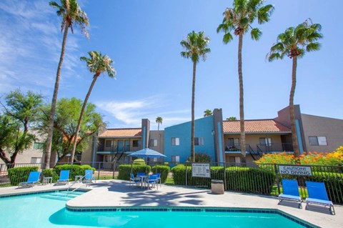 A pool surrounded by palm trees and chairs.