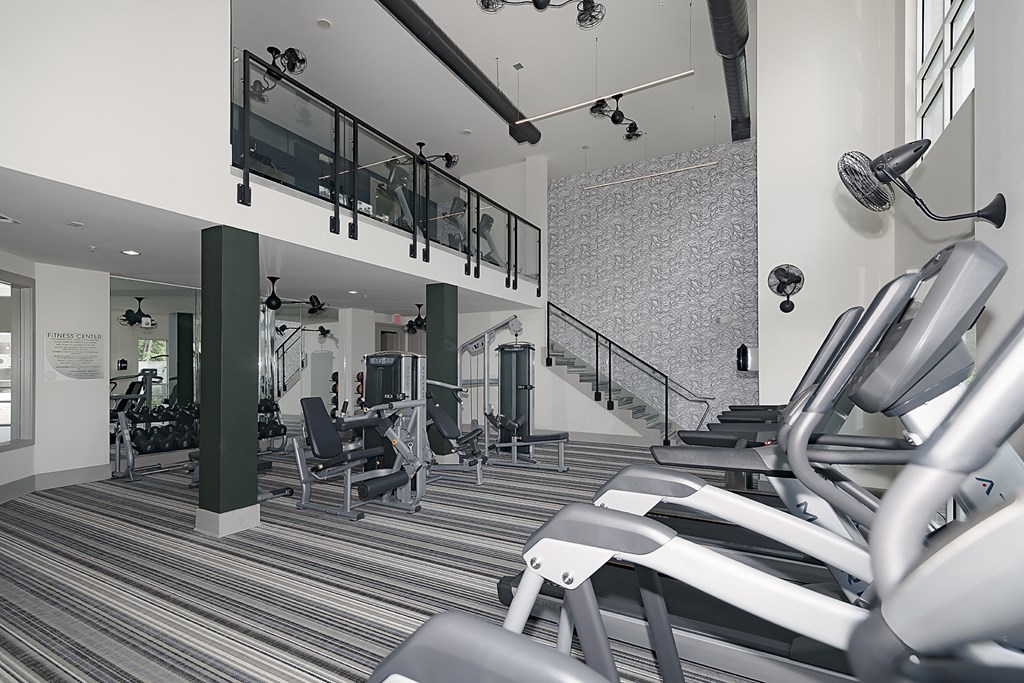 Fitness studio with cardio and free weights.