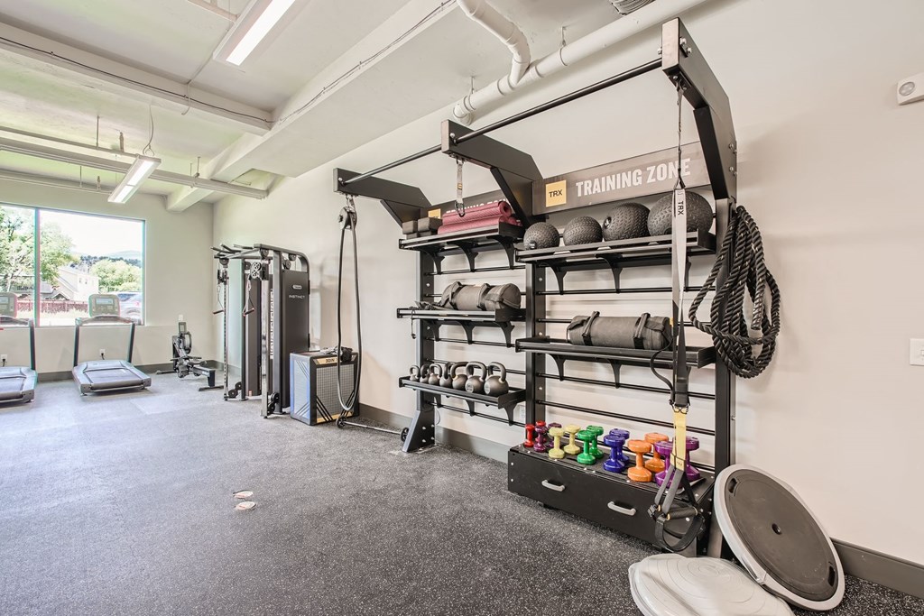 the ultimate dumbbell rack in a fitness room