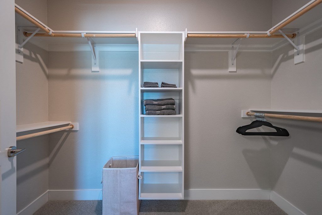 Model Apartment Home Bedroom Closet