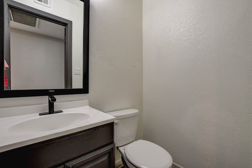 a bathroom with a toilet and a sink and a mirror