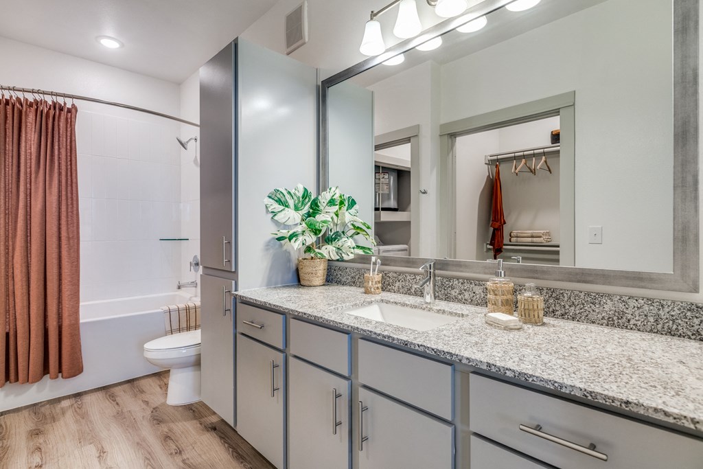 a bathroom with a sink and a mirror and a toilet