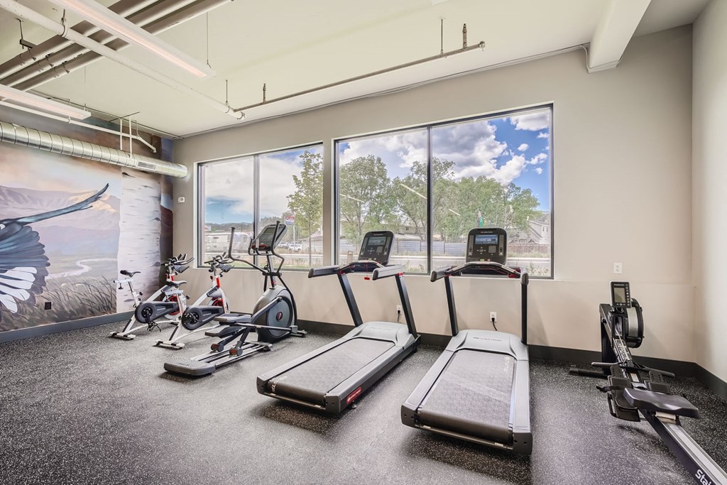 an exercise room with treadmills and ellipticals and a wall of windows with a view