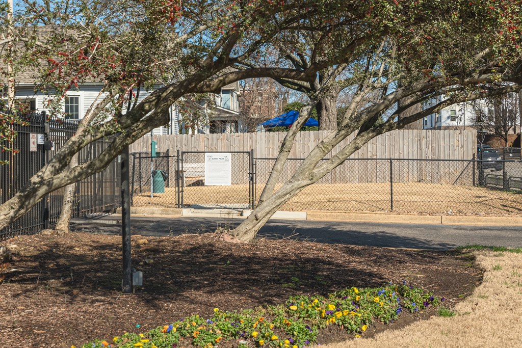 a tree in a park next to a fence