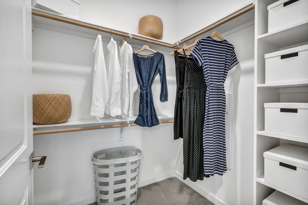 Large closet with built in storage