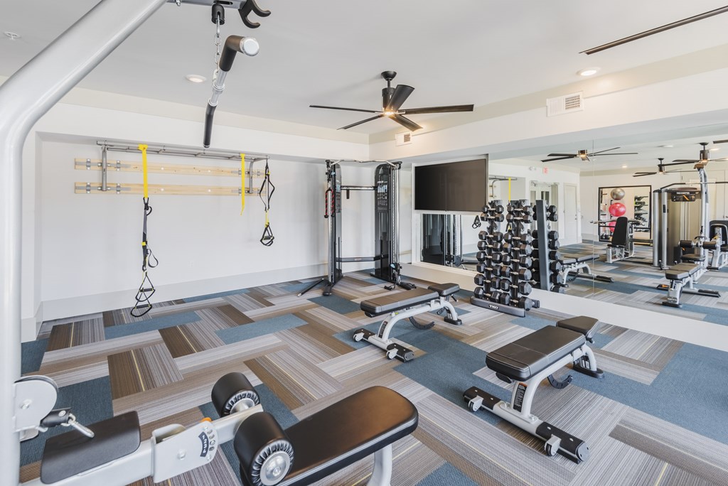 A gym with a variety of equipment including weights and a bench.