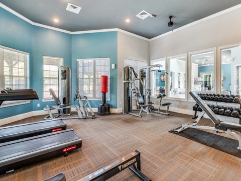 A well-equipped gym with treadmills, weights, and exercise machines.