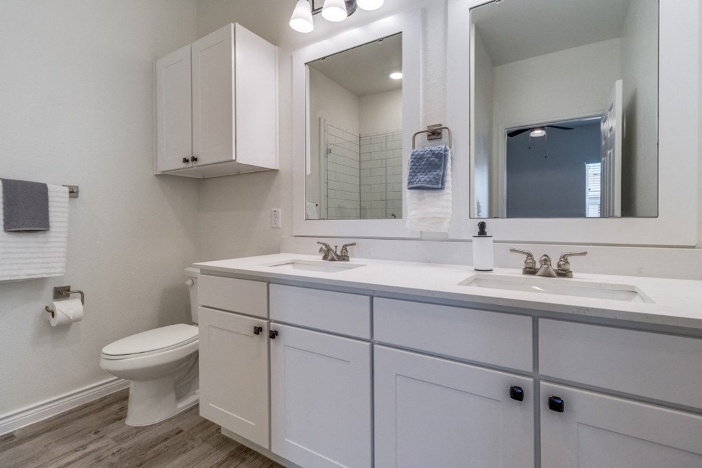 a bathroom with a sink and a mirror and a toilet