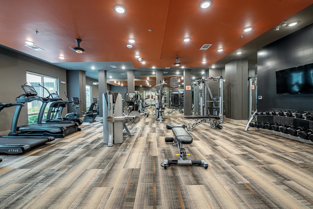 a gym with weights and cardio equipment and a tv
