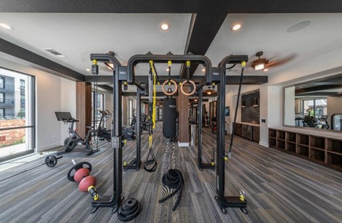 a gym with weights and cardio equipment in a home