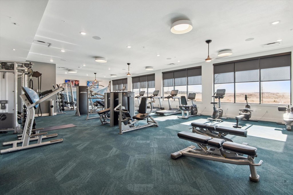 A gym with a view of the desert outside the window.