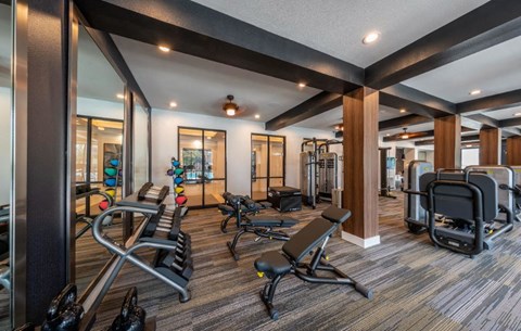the gym is equipped with a variety of exercise equipment