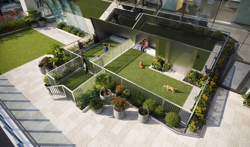 an aerial view of a dog yard in a building with grass