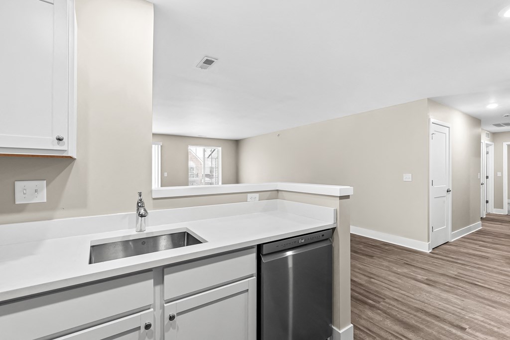 a kitchen with a sink and a dishwasher in a house