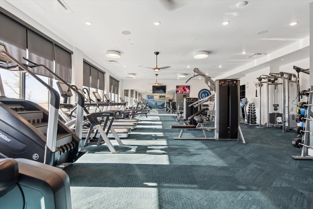 A gym with treadmills, weights, and exercise equipment.