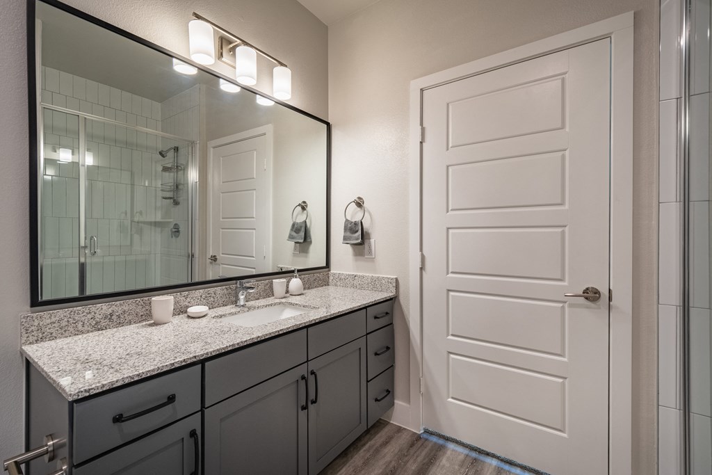 Model Apartment Home Bathroom