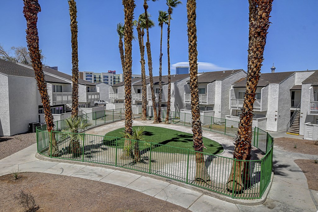 a courtyard with a green grassy area and palm trees