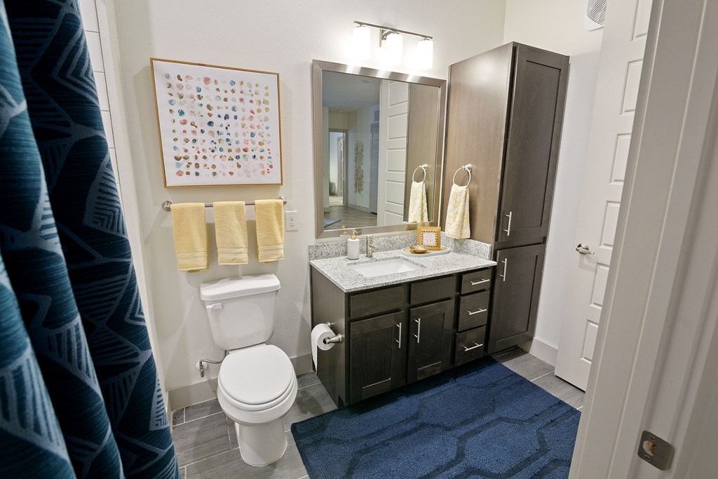 a bathroom with a toilet and a sink and a mirror