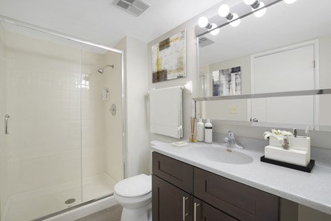 a bathroom with a shower sink and toilet and a mirror