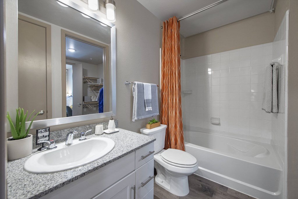 a bathroom with a shower toilet and sink and a mirror