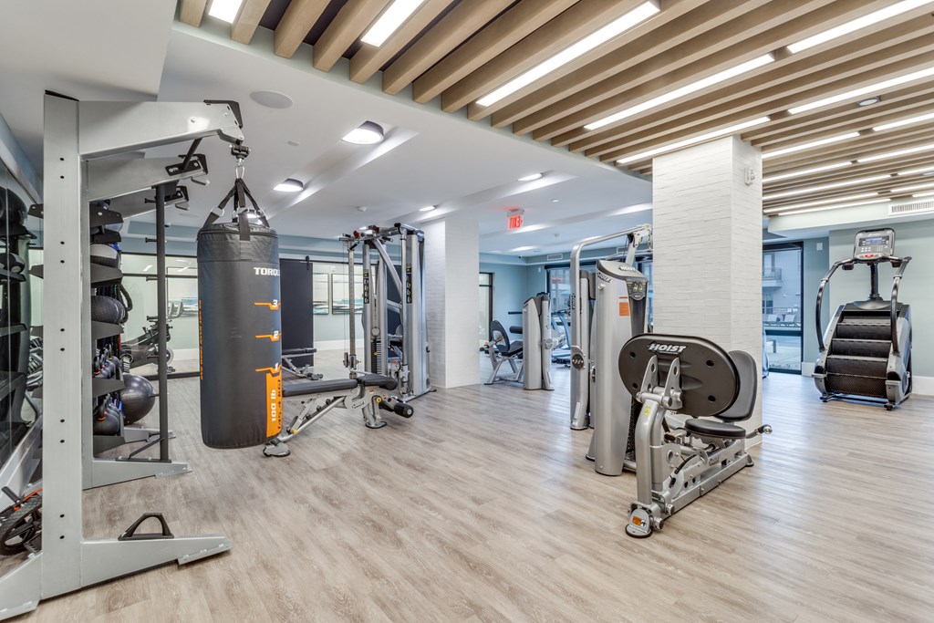 a gym with weights and cardio machines and a punching bag on the floor