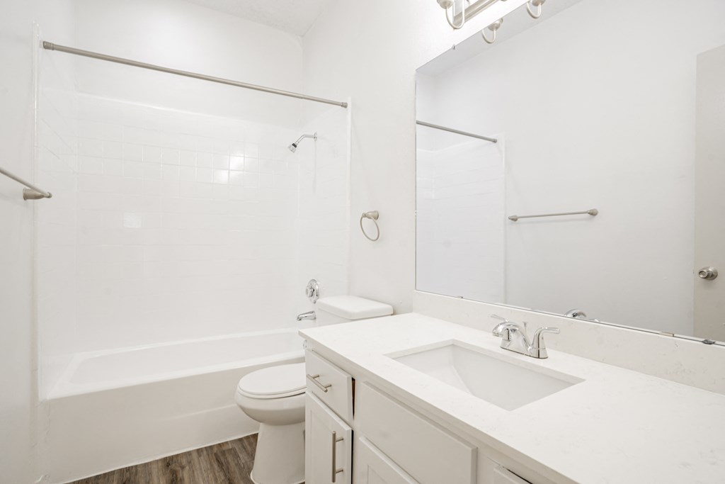 a bathroom with a sink and a toilet and a shower