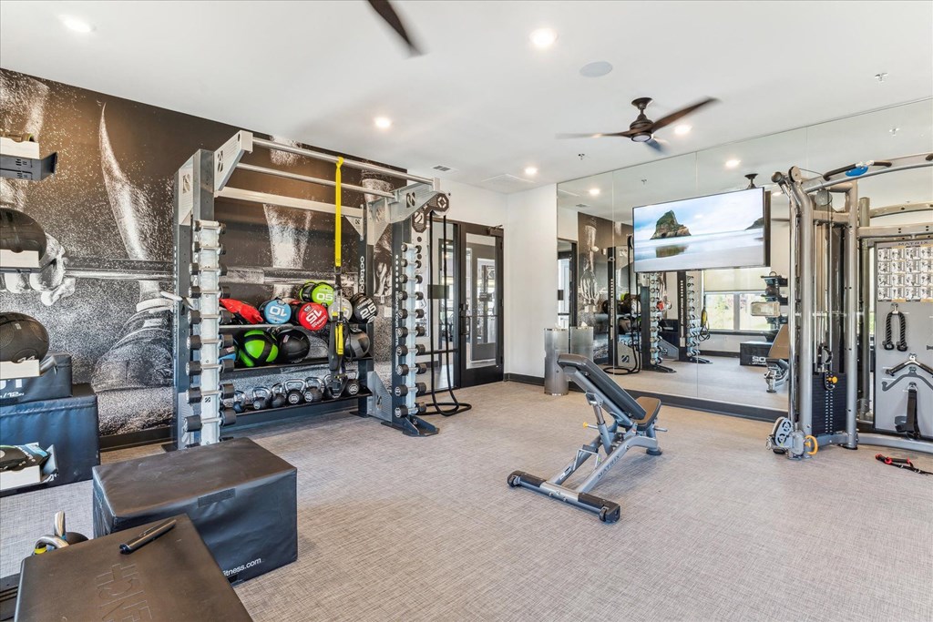 a home gym with weights and equipment and a tv on the wall