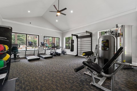 A spacious home gym with a variety of equipment including a treadmill, a stationary bike, and a weight bench.