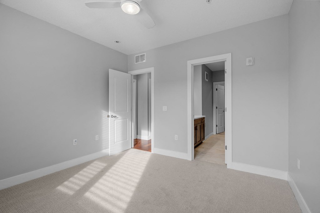 a spacious living room with gray walls and a carpeted floor